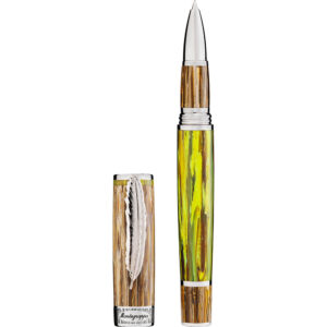 WILD: BAOBAB Solidarity Edition ROLLER